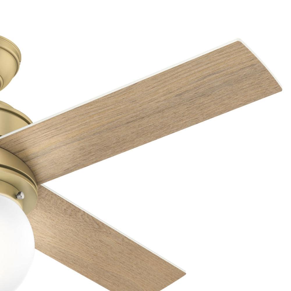 Hepburn 44" Modern Brass Low Profile Ceiling Fan with LED Chandelier