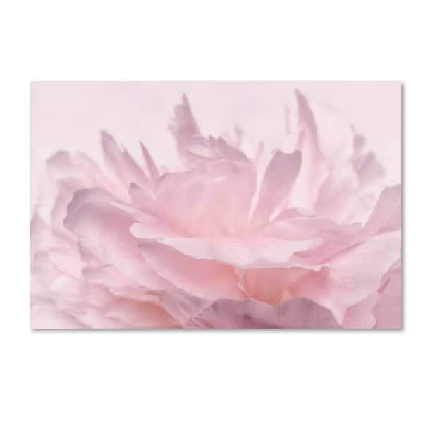 Trademark Fine Art 30 in. x 47 in. "Pink Peony Petals III" by Cora Niele Printed Canvas Wall Art