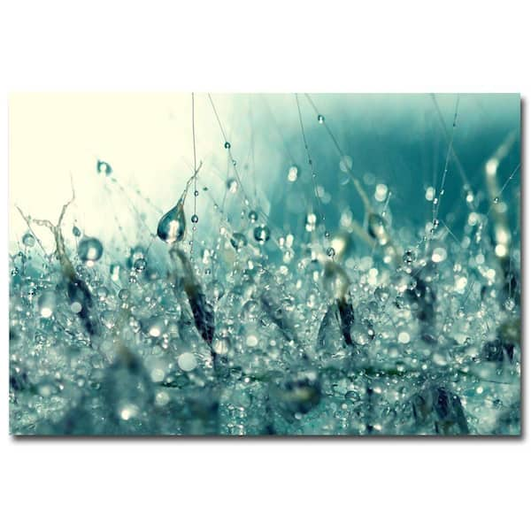 Trademark Fine Art 16 in. x 24 in. Under the Sea Canvas Art