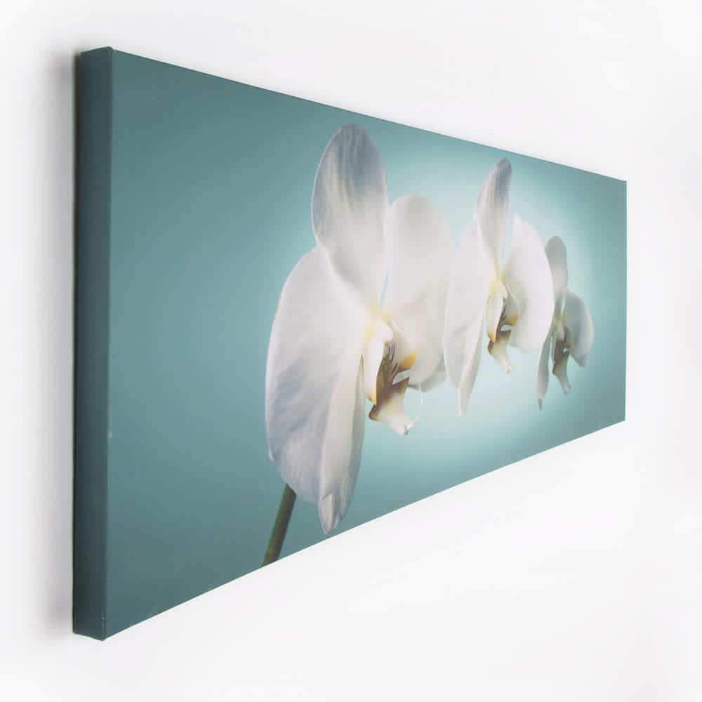 Teal Orchid Landscape Canvas Print Wall Art