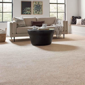 Hanville  - Southwest - Brown 27 oz. SD Polyester Loop Installed Carpet