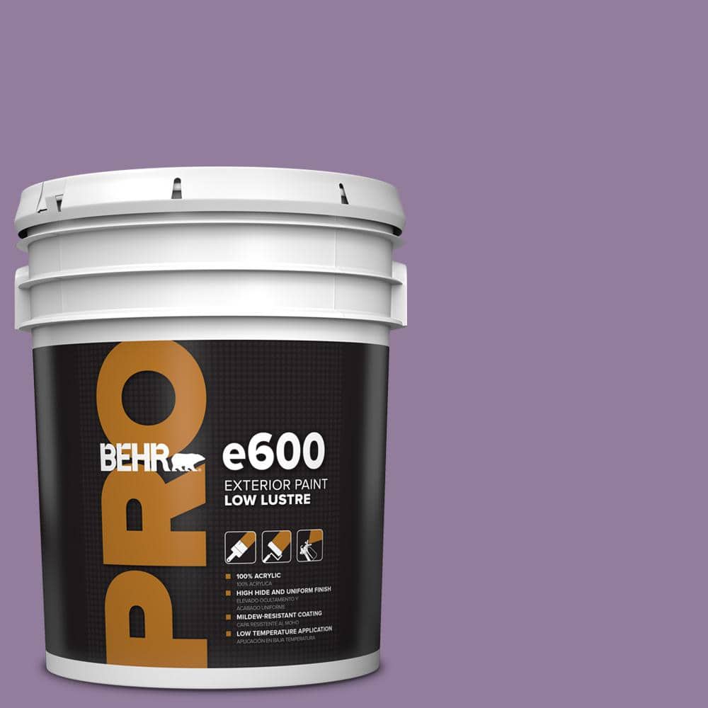 5 gal. #660D-5 Wildflower Low Luster Exterior Paint price history on PriceWatchPro