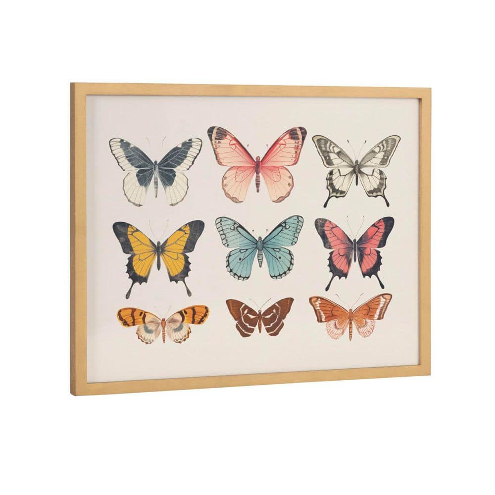 Gold Framed Vintage Style Butterfly Print Wall Art, 16 x 12