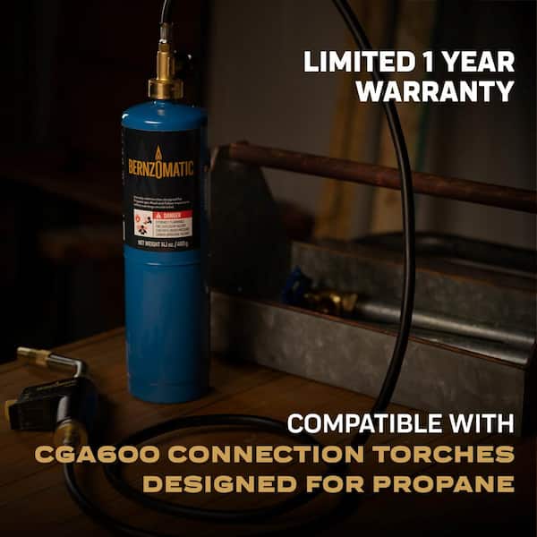 Home depot bernzomatic propane sales