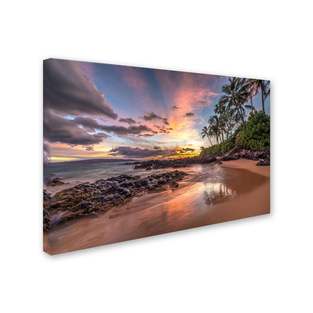 Hawaiian Sunset Beach Canvas Art in Pink and Blue