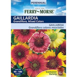 Gaillardia Mix Colors Seed