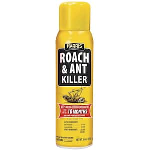 16 oz. 10-Month Roach and Ant Insect Killer Aerosol Spray