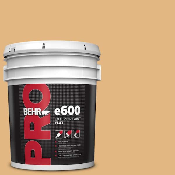 BEHR PRO 5 gal. #M270-5 Beehive Flat Exterior Paint