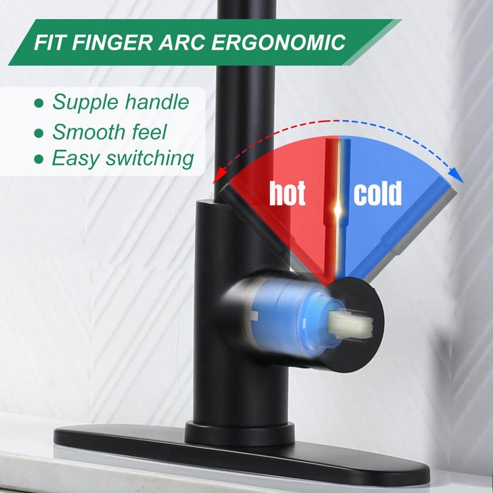 Matte Black Single Handle Pull-Down Kitchen Faucet with Deckplate