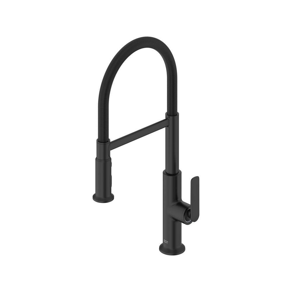 American Standard Sonner 20 in. Single Handle Pull-Down Sprayer