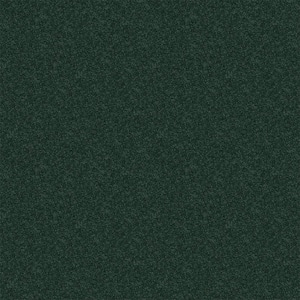 Watercolors I - Grass - Green 28.8 oz. Polyester Texture Installed Carpet