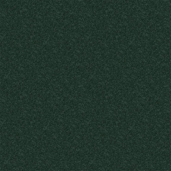 TrafficMaster Watercolors I - Grass - Green 28.8 oz. Polyester Texture Installed Carpet