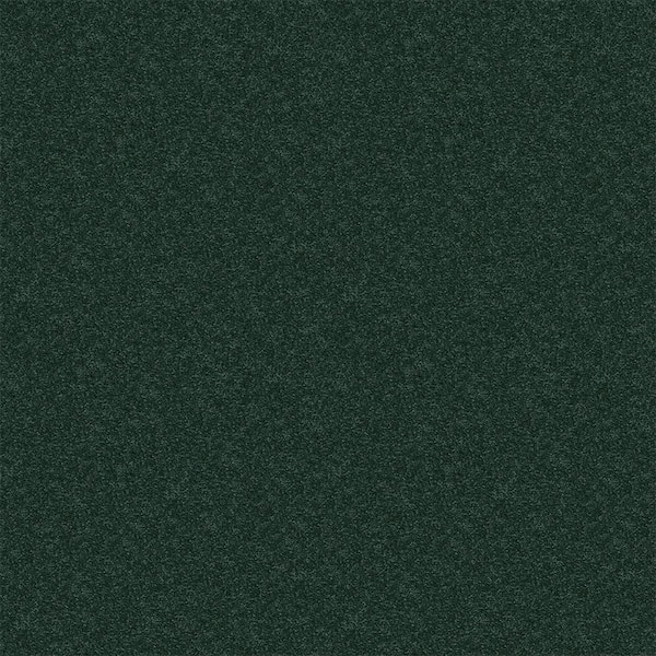 Watercolors II - Grass - Green 15 ft. 38.4 oz. Polyester Texture Carpet - Installation Required