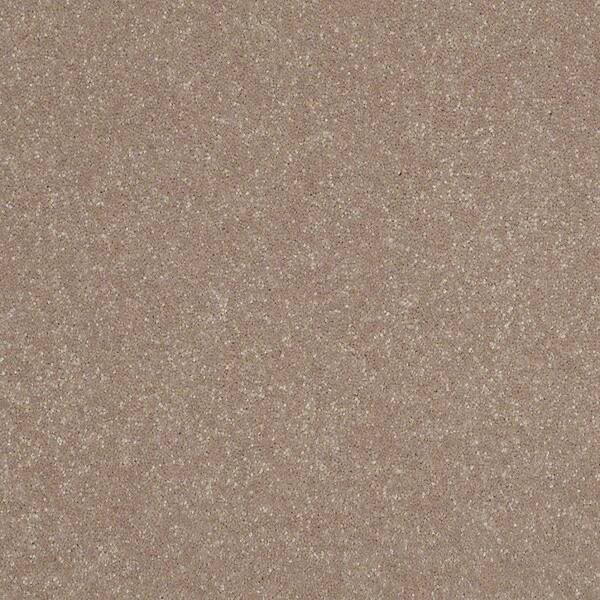 Home Decorators Collection 8 in. x 8 in. Texture Carpet Sample - Full Bloom I - Color Fawn Mist