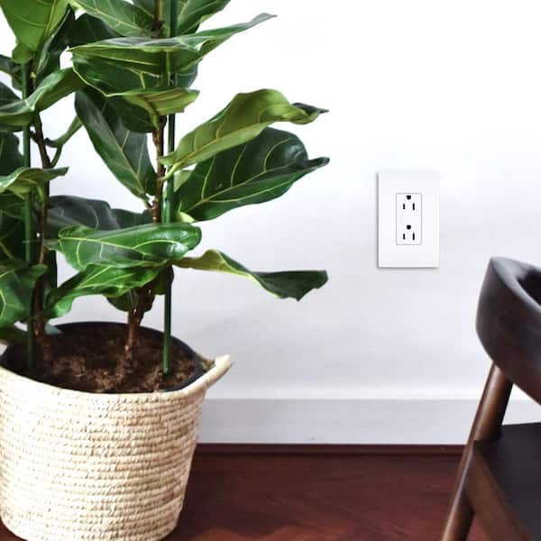 radiant 15 Amp 125-Volt Decorator Duplex Outlet, White (10-Pack)