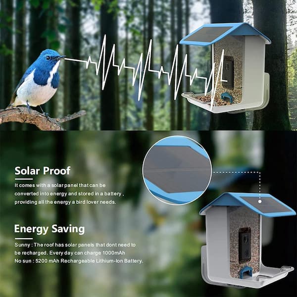 Smart Bird Feeder with Solar Roof 1080p HD Camera Ai Identify Bird Species Wi-Fi Connection (include 16g SD Card)