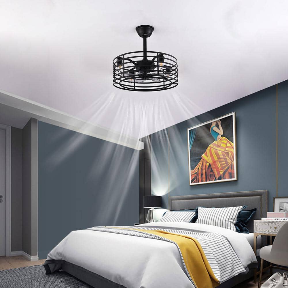 20'' Black Industrial Caged Ceiling Fan with Lights and Remote
