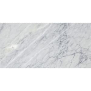 Marble Bianco Gioia Honed 12.01 in. x 24.02 in. Marble Floor and Wall Tile (2 sq. ft.)