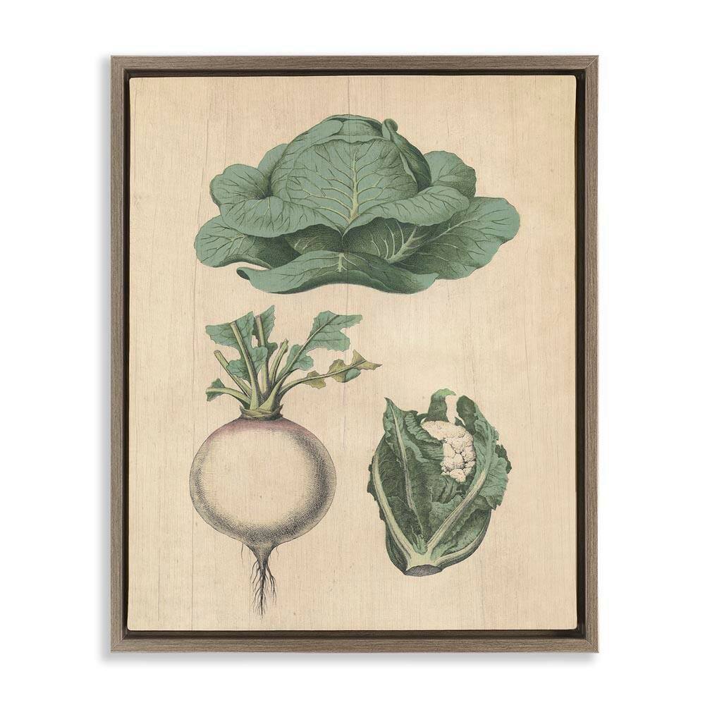 Vintage Garden Vegetables by Daphne Polselli Brown Floater Frame Food Graphic Art Print 31 in. x 25 in. price history on PriceWatchPro