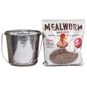 5 lbs. Bag Dried Mealworms with Stainless Steel Feeder Bucket