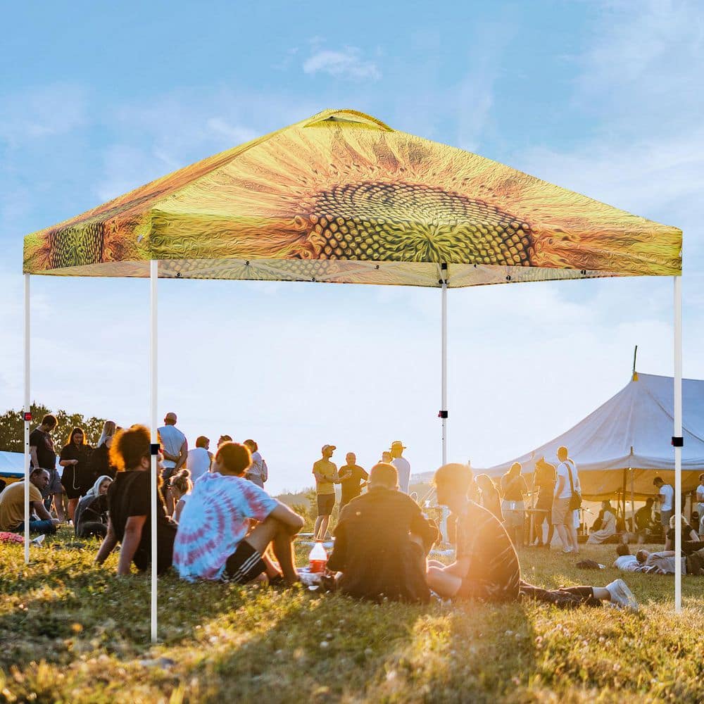 10 ft. x 10 ft. Pop Up Canopy Tent Instant Outdoor Canopy with 4-Sand Bags price history on PriceWatchPro