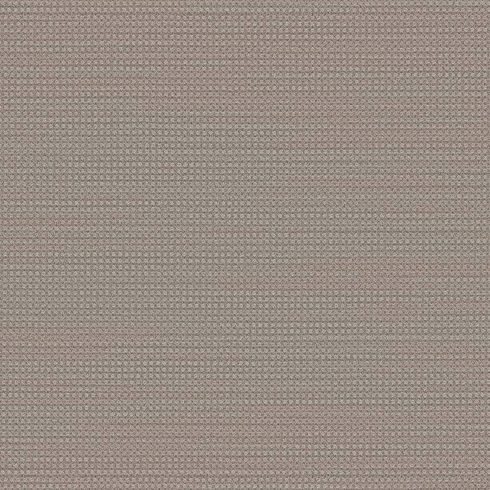 8 in. x  8 in. Loop Carpet Sample - Thornbrook -Color Barton price history on PriceWatchPro