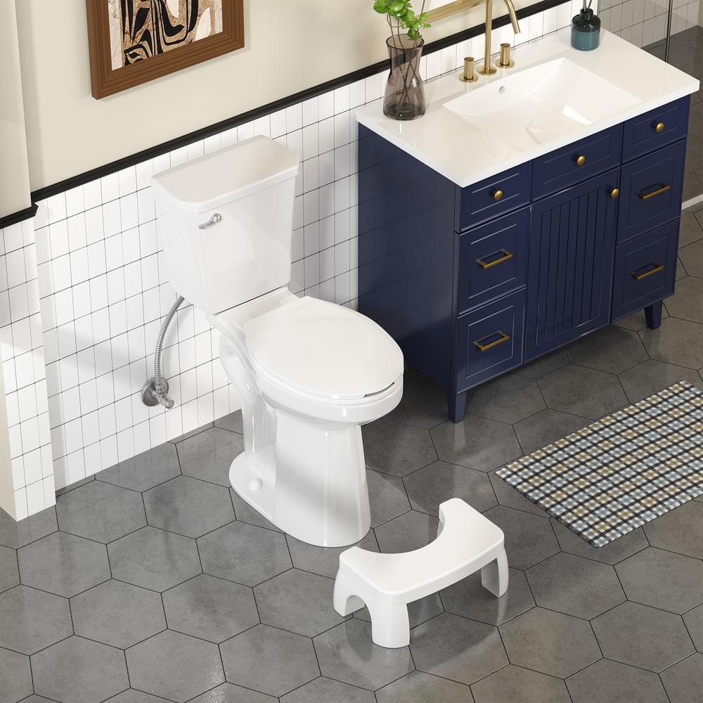 21 in. 1.28 GPF Single Flush Elongated Toilet with Custom Toilet Stool, Fri