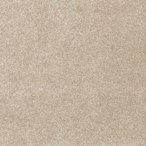 Denfort - Fleece - Beige 70 oz. Triexta Texture Installed Carpet