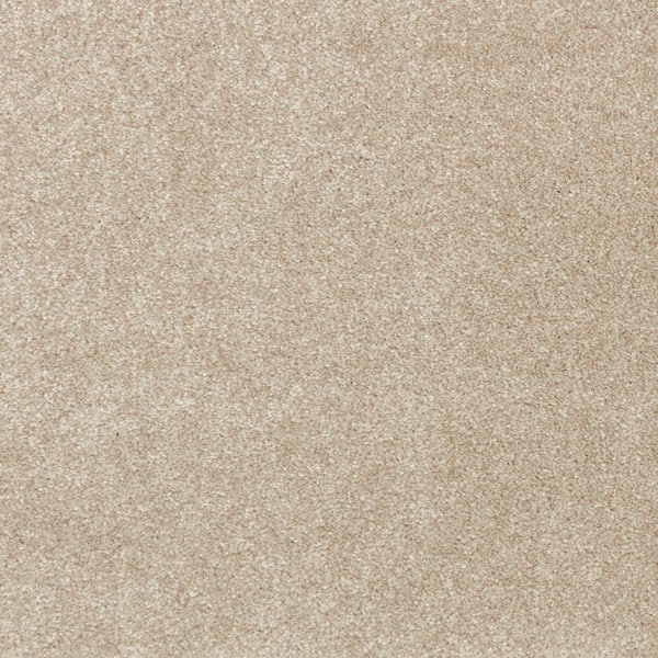 Denfort - Fleece - Beige 70 oz. Triexta Texture Installed Carpet