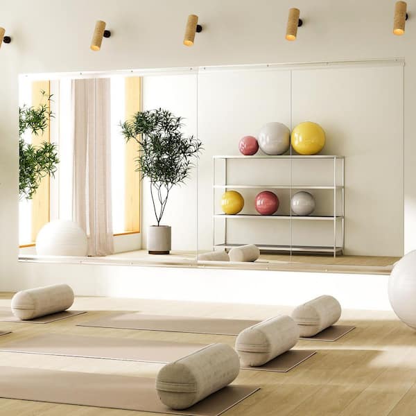 2-Pieces 24 in. W x 48 in. H Rectangle Frameless Gym Mirror Dance Mirror Wall Mirror