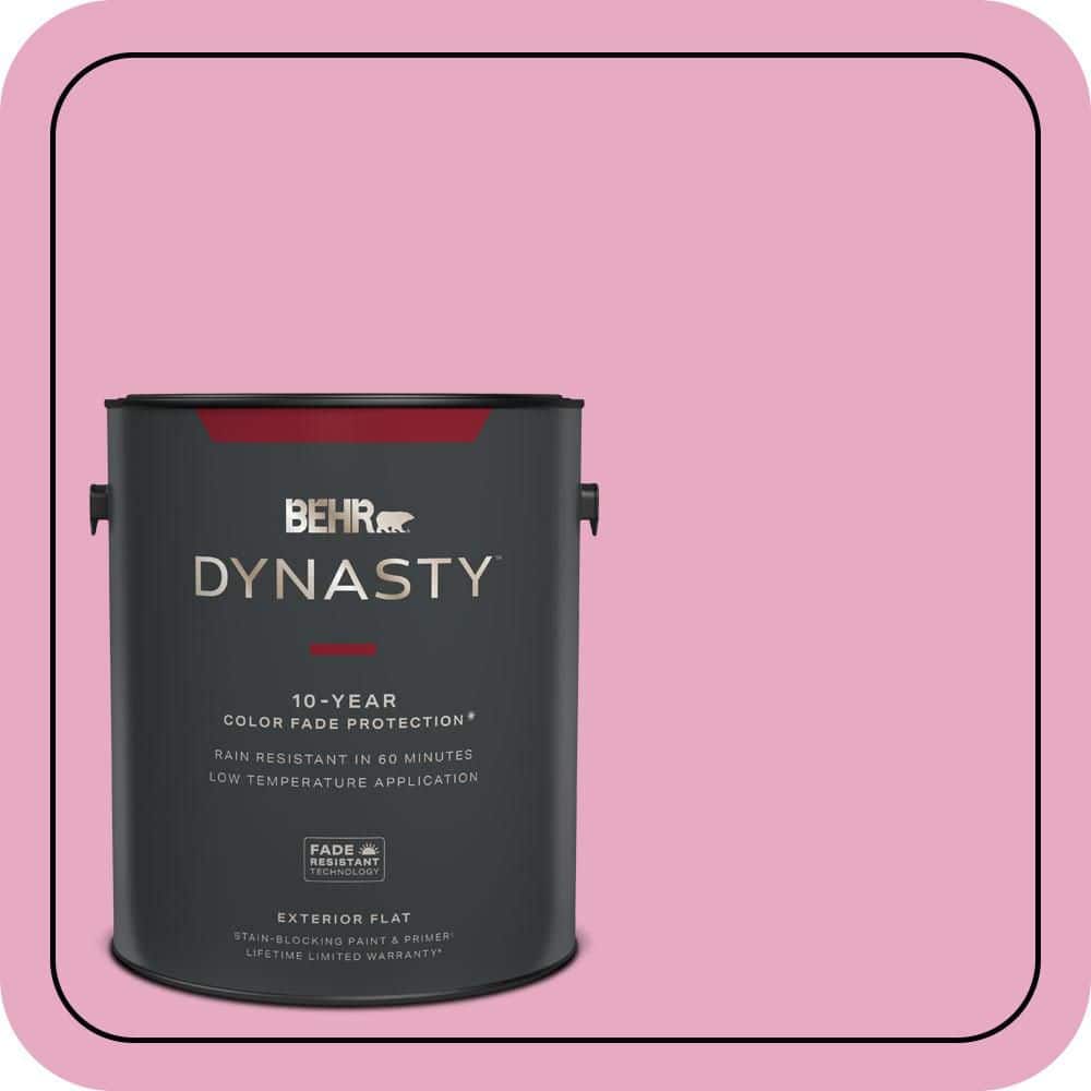 1 gal. #P130-3 Little Princess Flat Exterior Stain-Blocking Paint & Primer price history on PriceWatchPro