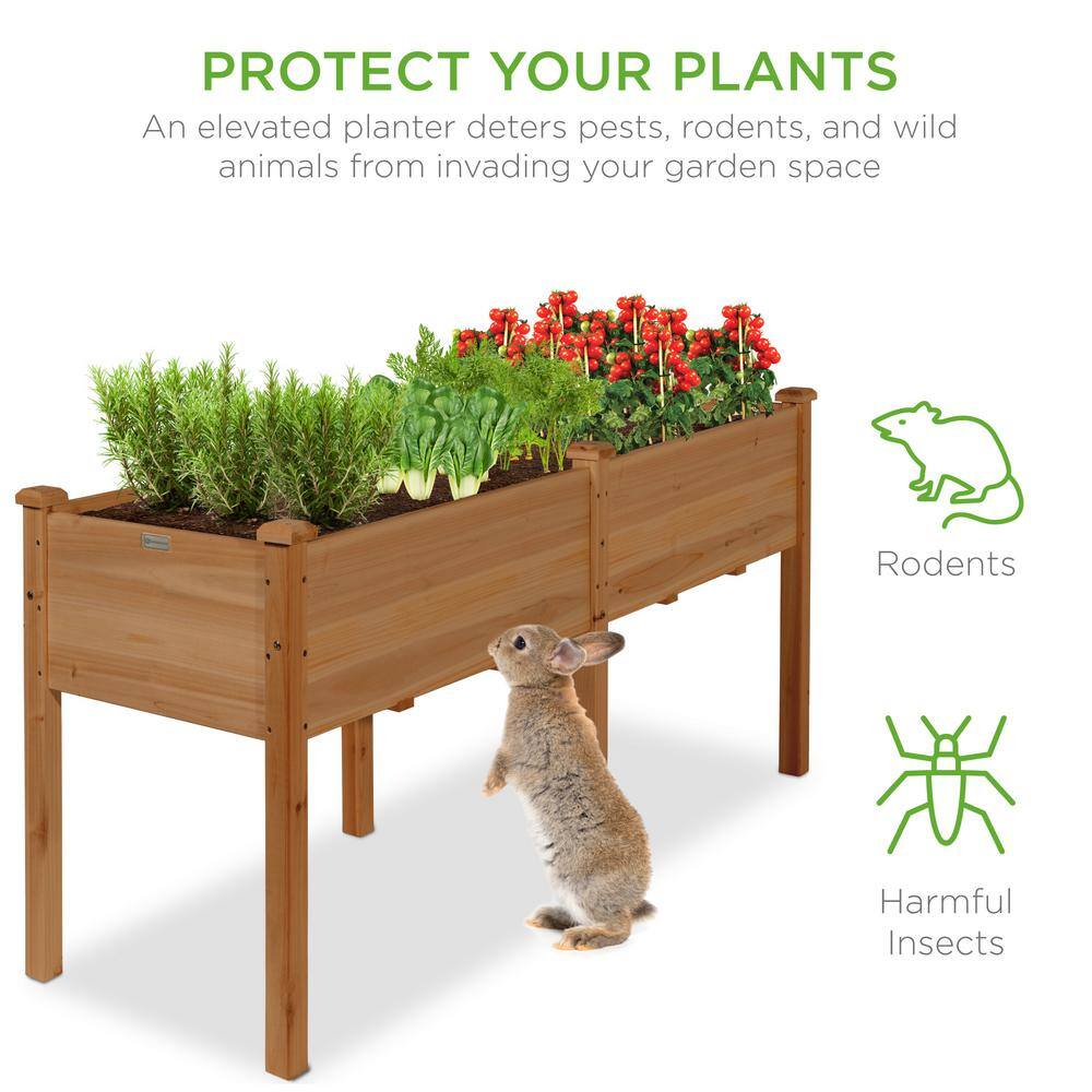Acorn Brown 72" Fir Wood Elevated Garden Planter Box
