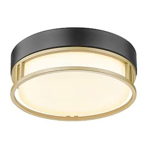 10 in. 1-Light Flush Mount Ceiling Light with Glass Shade and No Bulbs Included