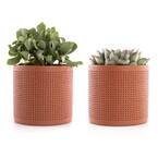 4 in. Assorted Succulent Set in Orange Dot Pot (2-Pack)