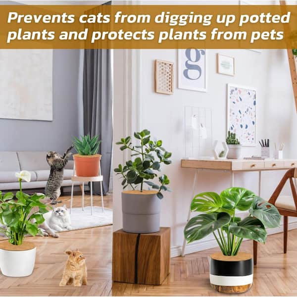 indoor planters for large plants Flora 12