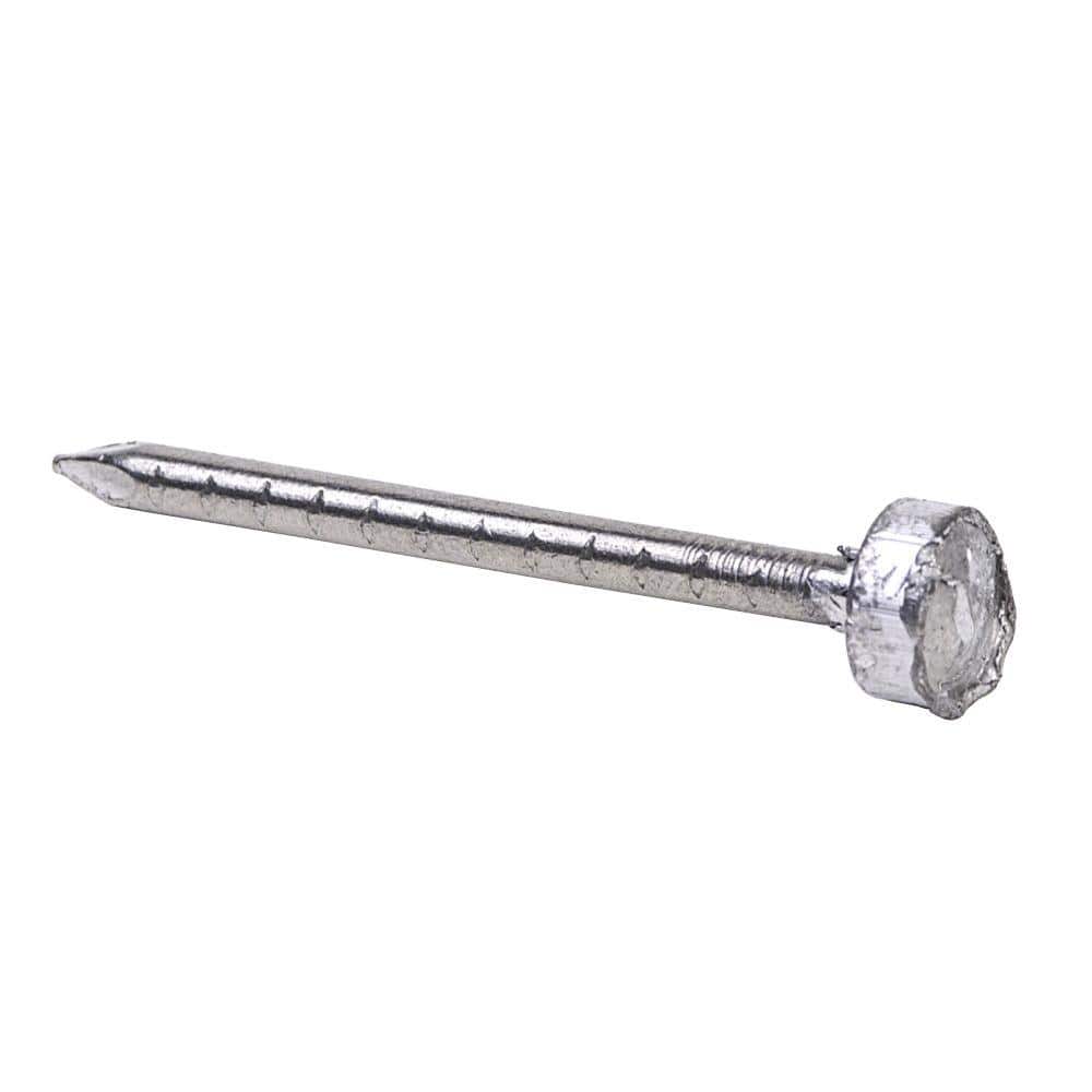 1 3/4" X 10GA 5D SMOOTH 304SS OOFING NAILS 1lb | N134S1