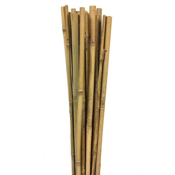 Master Garden Products 72 in. H Bamboo Garden Stake Support (10 per Bundle)