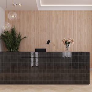 Silken Black 3.94 in. x 3.94 in. Glossy Ceramic Square Wall and Floor Tile (5.38 sq. ft./case) (50-pack)