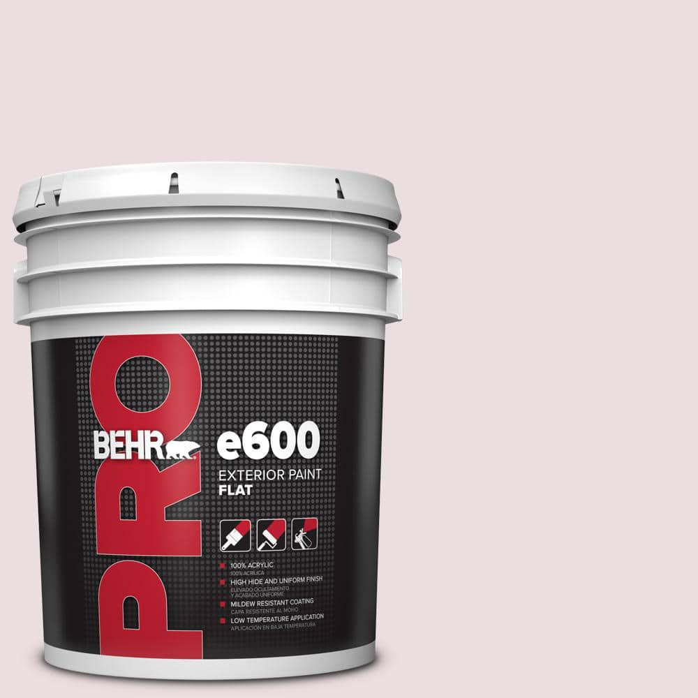 5 gal. #HDC-CT-08 Pink Posey Flat Paint price history on PriceWatchPro