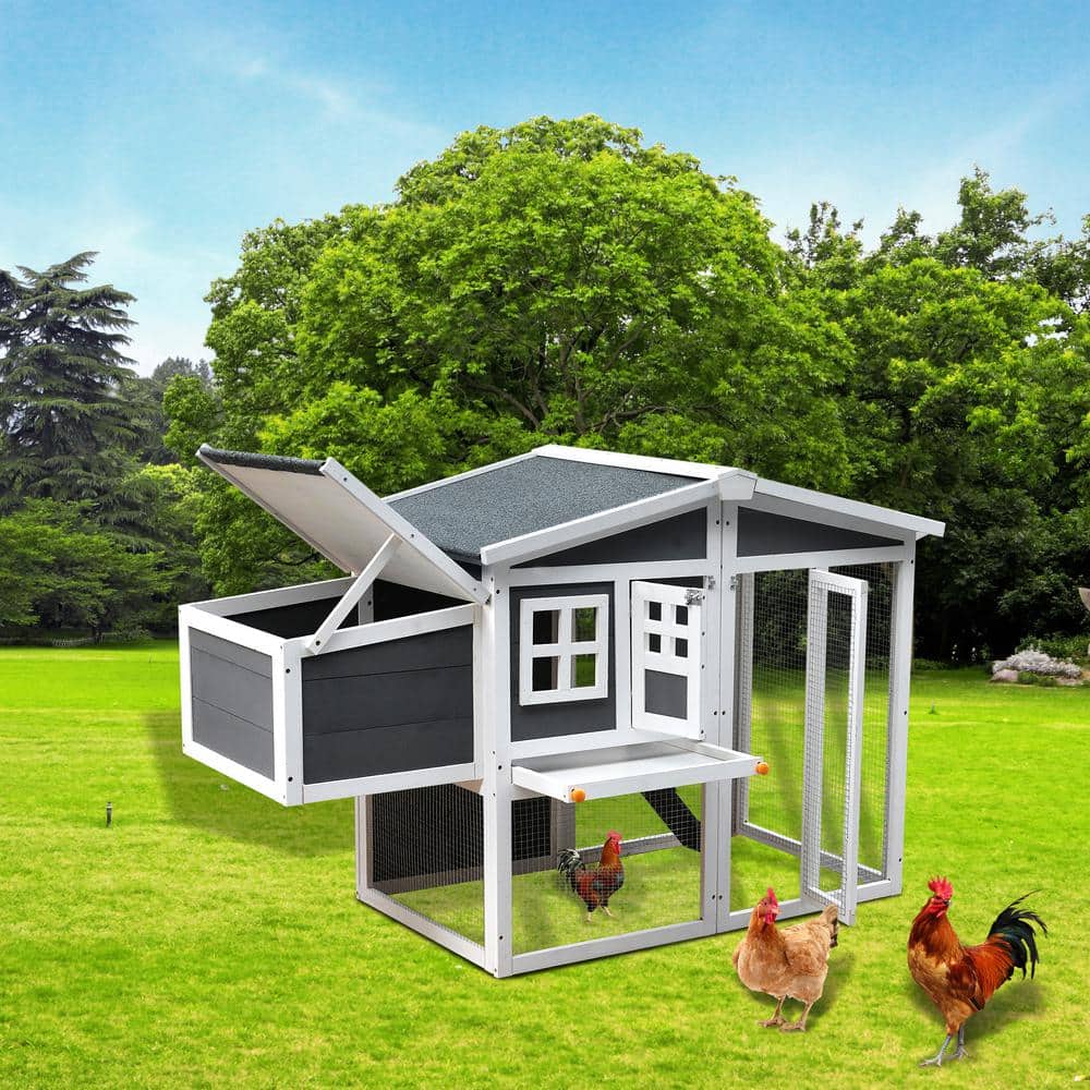 Wooden Chicken Coop,Waterproof Outdoor Large Chicken House for 4 Chickens, 