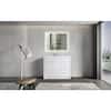 dyconn-bathroom-vanities-with-tops-vsb42wrs-31.3