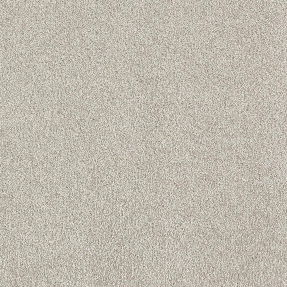8 in. x 8 in. Texture Carpet Sample - Silver Mane I -Color Deerfield price history on PriceWatchPro