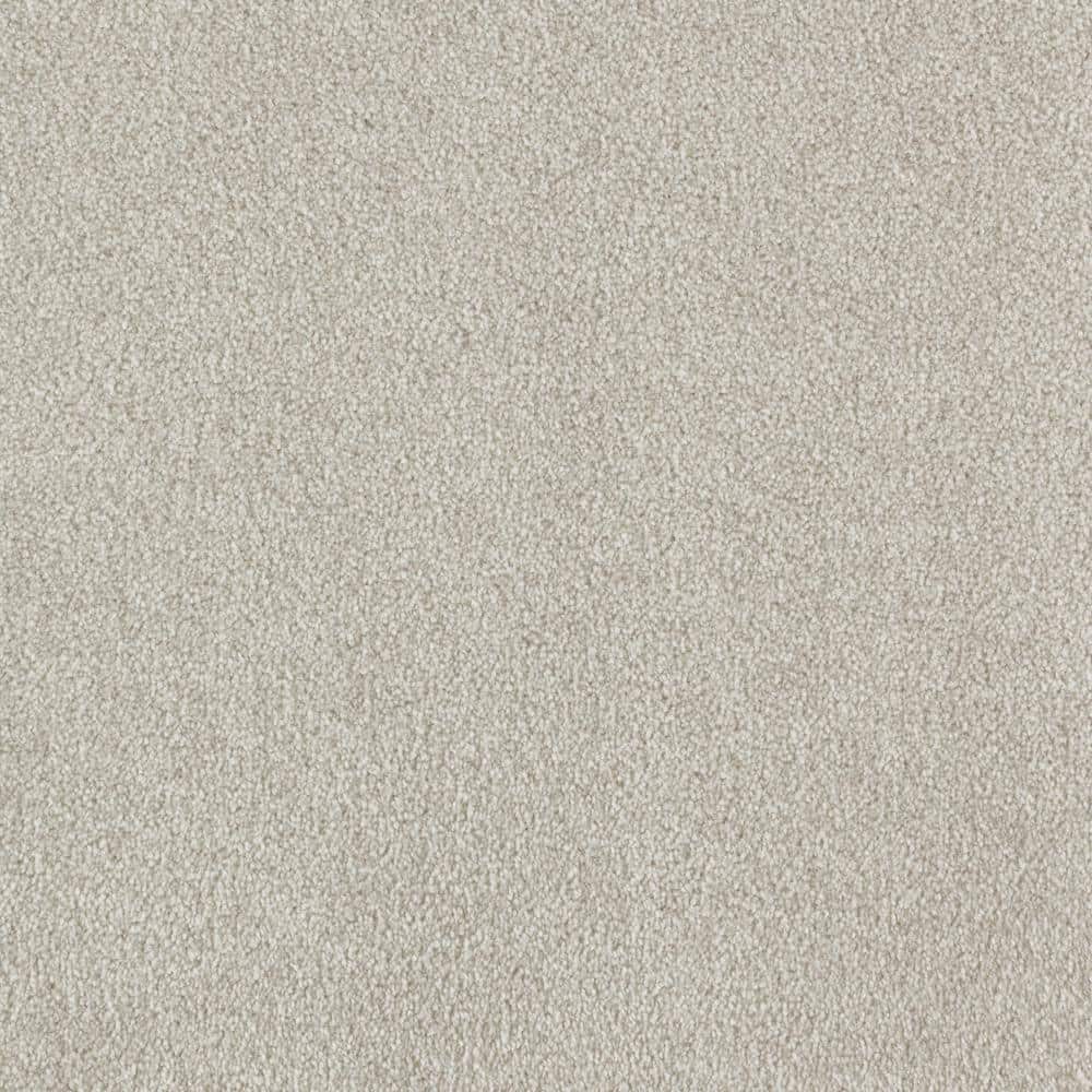 8 in. x 8 in. Texture Carpet Sample - Silver Mane II -Color Deerfield price history on PriceWatchPro