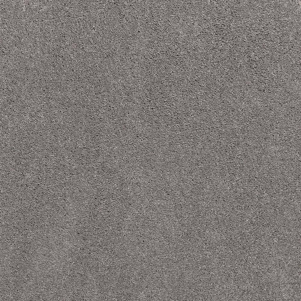 8 in. x 8 in. Texture Carpet Sample - Plush Dreams III -Color Soft price history on PriceWatchPro