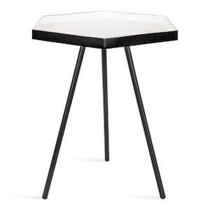 Kashvi 14.00 in. Black Hexagon Metal End Table