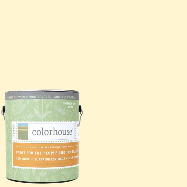Colorhouse 1 gal. Air .04 Flat Interior Paint