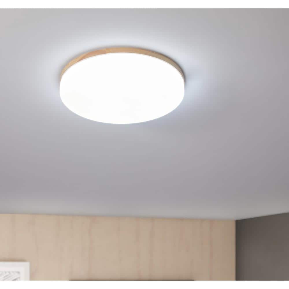 15 in. 1-Light White Creative Design Simple Circle 25-Watt Integrated LED F