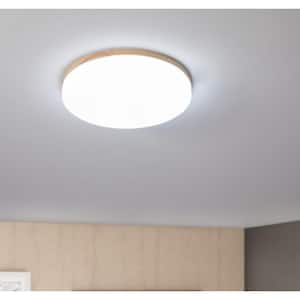 15 in. 1-Light White Creative Design Simple Circle 25-Watt Integrated LED Flush Mount Ceiling Lighting