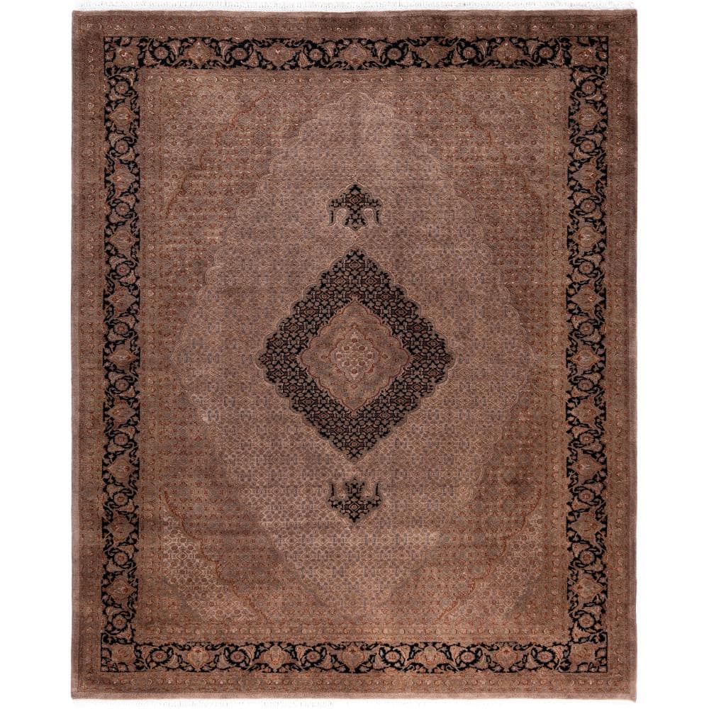 Fine Vibrance Brown 8 X 10 Hand Knotted Wool Indoor Area Rug price history on PriceWatchPro