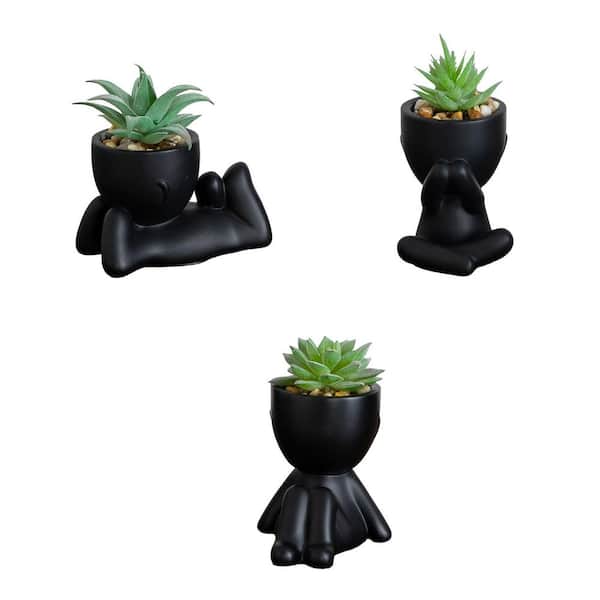 5 in. Artificial Succulent Plants in Playful Decorative Black Planters - Set of 3